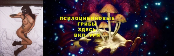 кокс Алексеевка