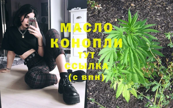 мет Алексин