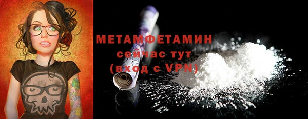 мет Алексин