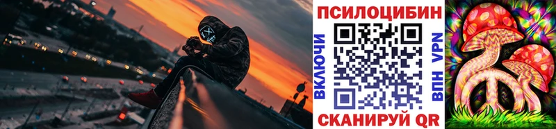 Псилоцибиновые грибы GOLDEN TEACHER  KRAKEN как войти  Апшеронск  где можно купить  