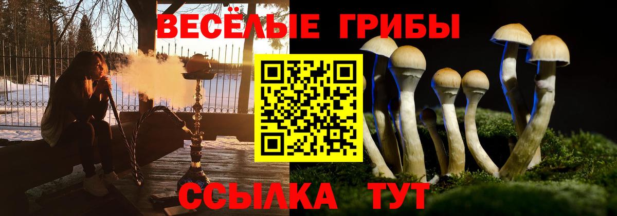 Псилоцибиновые грибы GOLDEN TEACHER  Вход с VPN  Апшеронск 